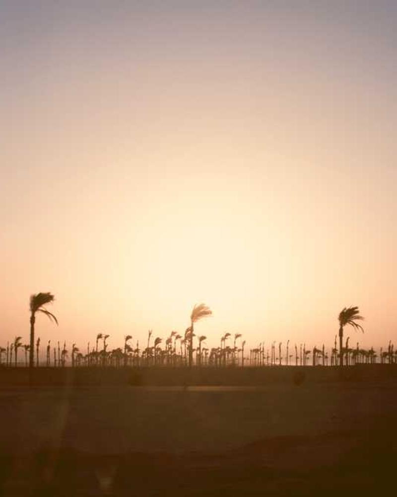 Katelynn with camera